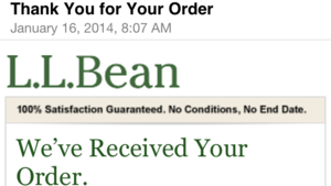 L.L.Bean responsive email